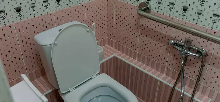 Meeting Diverse Needs With Accessible Restroom Solutions in Garden City, MI
